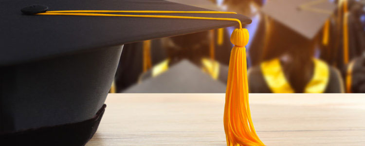 Scholarship and support programme